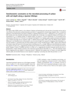 Stoichiometric constraints on the microbial processing of carbon with soil depth along a riparian hillslope