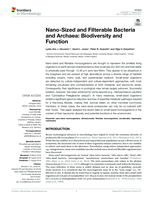 Nano-Sized and Filterable Bacteria and Archaea: Biodiversity and Function