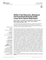 Shifts in Soil Structure, Biological, and Functional Diversity Under Long-Term Carbon Deprivation