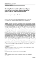 Modelling Nutrient Uptake by Individual Hyphae of Arbuscular Mycorrhizal Fungi: Temporal and Spatial Scales for an Experimental Design