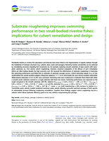 Substrate roughening improves swimming performance in two small-bodied riverine fishes: implications for culvert remediation and design