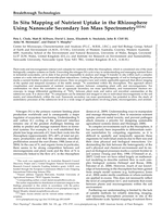 In Situ Mapping of Nutrient Uptake in the Rhizosphere Using Nanoscale Secondary Ion Mass Spectrometry