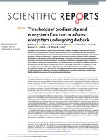 Thresholds of biodiversity and ecosystem function in a forest ecosystem undergoing dieback