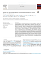 How do tree species with different successional stages affect soil organic nitrogen transformations?