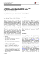 Evaluation of Two Triplex One-Step qRT-PCR Assays for the Quantification of Human Enteric Viruses in Environmental Samples
