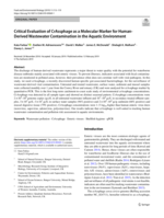Critical Evaluation of CrAssphage as a Molecular Marker for Human-Derived Wastewater Contamination in the Aquatic Environment