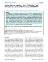 Lettuce Cultivar Mediates Both Phyllosphere and Rhizosphere Activity of Escherichia coli O157:H7