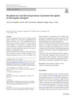 Do plants use root-derived proteases to promote the uptake of soil organic nitrogen?