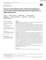 The short-lived inhibitory effect of Brachiaria humidicola on nitrous oxide emissions following sheep urine application in a highly nitrifying soil
