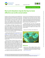 Rest and relaxation may be the key to more effective sea turtle conservation