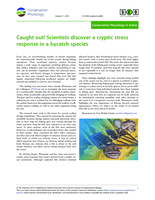 Caught out! Scientists discover a cryptic stress response in a bycatch species