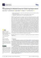 Manipulating GA-Related Genes for Cereal Crop Improvement