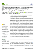 Transcriptome and proteome analysis revealed the influence of High-Molecular-Weight Glutenin Subunits (HMW-GSs) deficiency on expression of storage substances and the potential regulatory mechanism of HMW-GSs