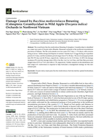 Damage caused by Bacchisa medioviolacea Breuning (Coleoptera: Cerambycidae) in Wild Apple (Docynia indica) orchards in Northwest Vietnam