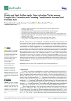 Grain and leaf Anthocyanin concentration varies among purple rice varieties and growing condition in aerated and flooded soil