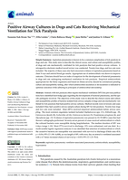 Positive airway cultures in dogs and cats receiving mechanical ventilation for tick paralysis
