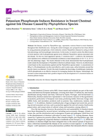 Potassium phosphonate induces resistance in sweet chestnut against ink disease caused by Phytophthora species