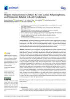 Hepatic transcriptome analysis reveals genes, polymorphisms, and molecules related to Lamb tenderness