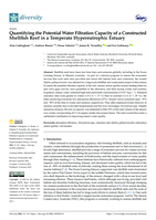 Quantifying the potential water filtration capacity of a constructed Shellfish Reef in a temperate hypereutrophic estuary