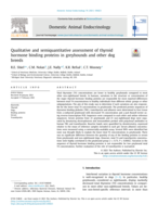 Qualitative and semiquantitative assessment of thyroid hormone binding proteins in greyhounds and other dog breeds