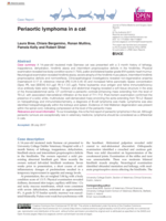 Periaortic lymphoma in a cat