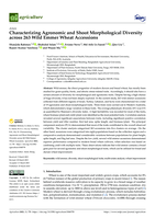 Characterizing agronomic and shoot morphological diversity across 263 Wild Emmer Wheat Accessions