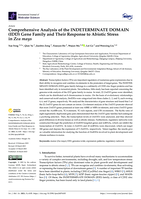 Comprehensive analysis of the INDETERMINATE DOMAIN (IDD) gene family and their response to abiotic stress in Zea mays
