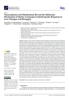 Transcriptome and metabolome reveal the molecular mechanism of barley genotypes underlying the response to low nitrogen and resupply