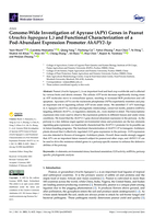 Genome-Wide investigation of Apyrase (APY) genes in peanut (Arachis hypogaea L.) and functional characterization of a Pod-Abundant expression promoter AhAPY2-1p