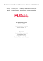 Sheep grazing and lambing behaviour analysis from accelerometer data using deep learning