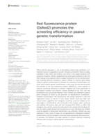Red fluorescence protein (DsRed2) promotes the screening efficiency in peanut genetic transformation