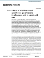 Effects of acidifiers on soil greenhouse gas emissions in calcareous soils in a semi-arid area