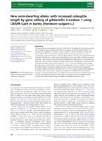 New semi-dwarfing alleles with increased coleoptile length by gene editing of gibberellin 3-oxidase 1 using CRISPR-Cas9 in barley (Hordeum vulgare L.)