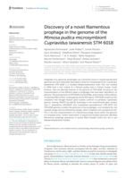 Discovery of a novel filamentous prophage in the genome of the Mimosa pudica microsymbiont Cupriavidus taiwanensis STM 6018