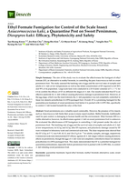 Ethyl Formate Fumigation for Control of the Scale Insect Asiacornococcus kaki, a Quarantine Pest on Sweet Persimmon, Diospyros kaki: Efficacy, Phytotoxicity and Safety