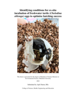 Identifying conditions for ex-situ incubation of freshwater turtle (Chelodina oblonga) eggs to optimise hatching success