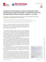 Complete Genome Sequence of the Ice-Nucleation-Active Pseudomonas syringae Strain MUP17, Isolated from the Frost-Damaged Barley Cultivar Hordeum vulgare cv. La Trobe