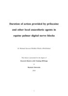 Duration of action provided by prilocaine and other local anaesthetic agents in equine palmar digital nerve blocks