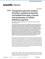 Comparative genomic analysis of Colistin resistant Escherichia coli isolated from pigs, a human and wastewater on colistin withdrawn pig farm