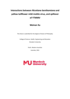 Interactions between Nicotiana benthamiana and yellow tailflower mild mottle virus, and spillover of YTMMV
