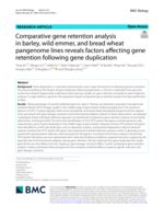 Comparative gene retention analysis in barley, wild emmer, and bread wheat pangenome lines reveals factors affecting gene retention following gene duplication
