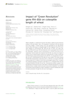Impact of “Green Revolution” gene Rht-B1b on coleoptile length of wheat
