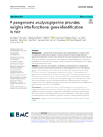 A pangenome analysis pipeline provides insights into functional gene identification in rice