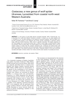 Costacosa, a new genus of wolf spider (Araneae, Lycosidae) from coastal north-west Western Australia