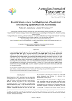 Quokkaraneus, a new monotypic genus of Australian orb-weaving spider (Araneae, Araneidae)