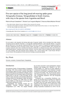 Five new species of the long-jawed orb-weaving spider genus Tetragnatha (Araneae, Tetragnathidae) in South America, with a key to the species from Argentina and Brazil