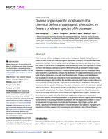 Diverse organ-specific localisation of a chemical defence, cyanogenic glycosides, in flowers of eleven species of Proteaceae