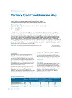 Tertiary hypothyroidism in a dog