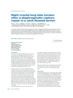 Right cranial lung lobe torsion after a diaphragmatic rupture repair in a Jack Russell terrier