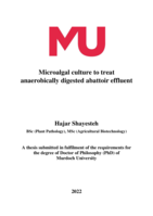 Microalgal culture to treat  anaerobically digested abattoir effluent